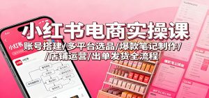 小红书电商实操课：账号搭建/多平台选品/爆款笔记制作/店铺运营/出单发货全流程-琴书聊项目