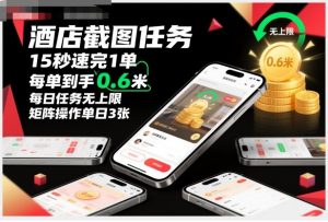 酒店截图任务，15秒速完1单，每单到手0.6米，每日任务无上限，全网首发玩法，矩阵操作单日3张【揭秘】-琴书聊项目