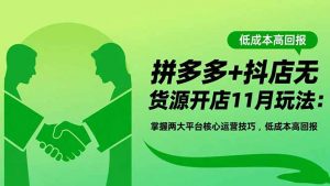 拼多多+抖店无货源开店11月玩法:掌握两大平台核心运营技巧,低成本高回报-琴书聊项目