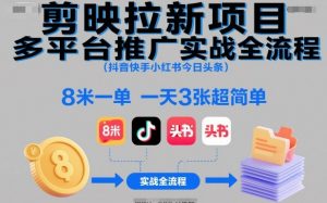 剪映拉新项目多平台推广实战全流程(抖音快手小红书今日头条)，8米一单，一天3张超简单-琴书聊项目