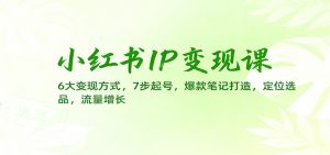 小红书IP变现课：6大变现方式，7步起号，爆款笔记打造，定位选品，流量增长-琴书聊项目