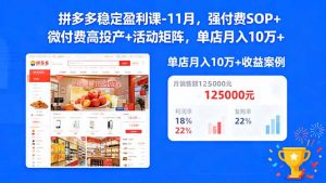 拼多多稳定盈利课-11月,强付费SOP+微付费高投产+活动矩阵,单店月入10w+-琴书聊项目