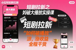 短剧拉新之小红书如何破大播放实操课，如何破播放，涨收益，全程干货-琴书聊项目