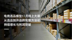 电商选品模型11月线上大课：从选品到开品的完整方法论 持续增长与利润突破-琴书聊项目