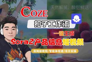 Coze扣子智能体工作流一键生成“SORA2产品信息“短视频,全流程保姆级教学-琴书聊项目