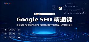 Google SEO 精通课：算法解析/关键词/内容/外链实操/搭配工具教程/B2C项目案例-琴书聊项目