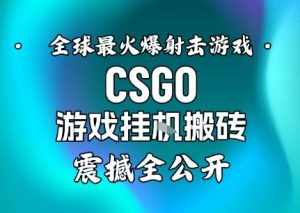 【年底大揭秘】基于全球最火爆的射击CSGO游戏挂G搬砖，日入5张+，震撼公开-琴书聊项目