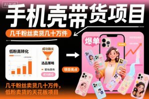 手机壳带货项目，几千粉丝卖货几十万件，短视频低粉卖货的天花板项目-琴书聊项目