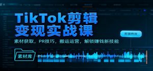TikTok剪辑变现实战课：素材获取，PR技巧，搬运运营，解锁赚钱新技能-琴书聊项目