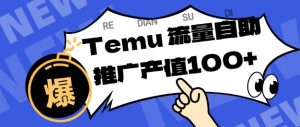 专注于Temu商家提供精准曝光浏览量，助力店铺排名提升和转化，单机日收入80-130【揭秘】-琴书聊项目