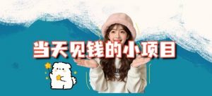 当天能收益的3个小项目拆解_包括平台+操作流程-琴书聊项目