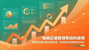 电商企业管理系统构建课：帮助企业建立高效运营系统，实现利润与规模的同步跃升-琴书聊项目