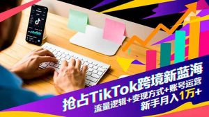 抢占TikTok跨境新蓝海：流量逻辑+变现方式+账号运营，新手月入1万+-琴书聊项目