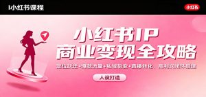 小红书IP商业变现全攻略：定位跃迁+爆款流量+私域裂变+直播转化，高利润闭环搭建-琴书聊项目