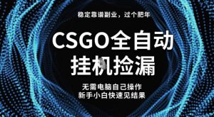 【稳定副业】全球最热门游戏CSGO全自动捡漏，最新玩法，新手小白日入5张+【揭秘】-琴书聊项目