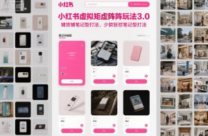 小红书虚拟矩阵玩法3.0,铺货铺笔记型打法,少款狂怼笔记型打法-琴书聊项目