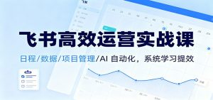 飞书高效运营实战课：日程/数据/项目管理/AI 自动化，系统学习提效-琴书聊项目
