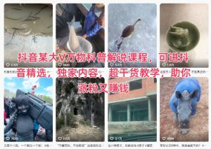 抖音某大V万物科普解说课程，可进抖音精选，独家内容，超干货教学，助你涨粉又賺钱-琴书聊项目