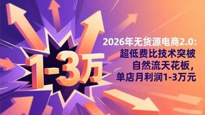 2026年无货源电商2.0【更新】：超低费比技术突破自然流天花板，单店月利润1-3万元-琴书聊项目