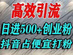 怎么打创业粉?抖音利用占便宜心理引流创业粉,单人日引500+精准流量-琴书聊项目