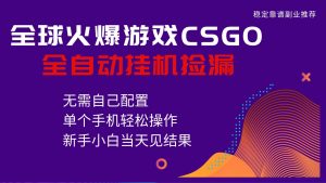 火爆游戏CSGO全自动捡漏，独家最新玩法，单个手机可操作，新手小白日入500+-琴书聊项目