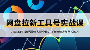 网盘拉新工具号实战课，内容SOP+被动引流+多端变现，打造持续收益月入破万-琴书聊项目