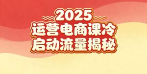 2025小红书运营电商课：新手实战＋冷启动＋流量揭秘-琴书聊项目