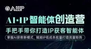 AI·IP智能体创造营,手把手带你打造IP获客智能体,高成交创始人IP课-琴书聊项目
