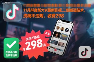 11月抖音某大V最新影视二创搬运技术，洗稿不违规，收费298-琴书聊项目