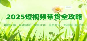 2025短视频带货全攻略：爆款文案，快速起号，种草计划，星图变现，新手零门槛上手-琴书聊项目