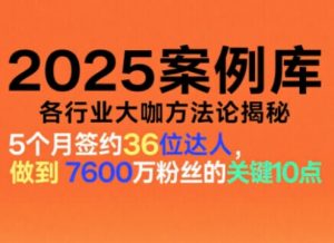 2025案例库，收录各行业大咖的方法论，各行业大咖方法论揭秘-琴书聊项目