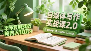 自媒体写作实战课2.0，爆款标题、内容结构、IP打造，半年复制30万粉月入10万+-琴书聊项目