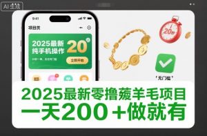 2025最新零撸薅羊毛项目，纯手机操作，20秒一单，无任何门槛，一天200+做就有【揭秘】-琴书聊项目
