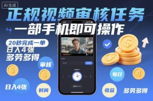 正规视频审核任务,一部手机即可操作,20秒完成一单,日入4张,多劳多得【揭秘】-琴书聊项目