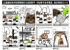 卤蛋哈基米短视频制作全流程教学,条条爆款,疯狂吸粉几十万-琴书聊项目