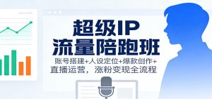 超级IP流量陪跑班:账号搭建+人设定位+爆款创作+直播运营,涨粉变现全流程-琴书聊项目