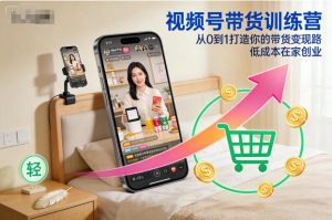 视频号带货训练营,从0到1打造你的带货变现路,低成本在家创业-琴书聊项目