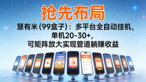 抢先布局慧有米(99盒子):多平台全自动挂机,单机20-30+,可矩阵实现管道躺赚-琴书聊项目