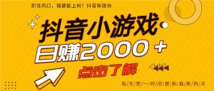 5年爆火的抖音小游戏项目，一部手机日入2000+-琴书聊项目