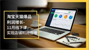 淘宝天猫爆品利润增长-11月线下课，免费流量、付费放大、费比管控，实现店铺利润倍增-琴书聊项目