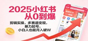 2025小红书从0到爆：剪辑实操，多赛道变现，暴力起号，零基础也能月入破W-琴书聊项目