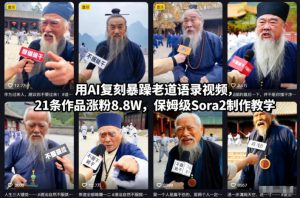 用AI复刻暴躁老道语录视频，21条作品涨粉8.8W，保姆级Sora2制作教学-琴书聊项目