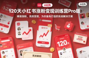 120天小红书涨粉变现训练营Pro版，精准涨粉，高效变现，为你量身打造的实战解决方案-琴书聊项目