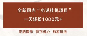 全新国内小说挂G项目，多窗口无脑跑，一天轻松1k+，特别省心【揭秘】-琴书聊项目
