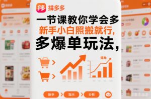 一节课教你学会拼多多爆单玩法，新手小白照搬就行-琴书聊项目