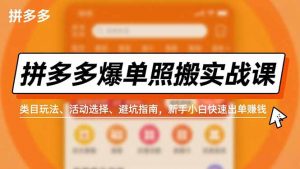 拼多多爆单照搬实战课，类目玩法、活动选择、避坑指南，新手小白快速出单赚钱-琴书聊项目