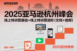 2025亚马逊杭州峰会，线上特训营基础+线上特训营进阶(文档+视频)-琴书聊项目