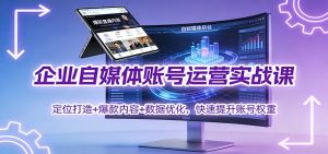 企业自媒体账号运营实战课：定位打造+ 爆款内容+数据优化，快速提升账号权重-琴书聊项目