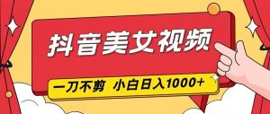 抖音美女视频，一刀不剪，两分钟一条视频，小白轻松上手，日入1000-琴书聊项目