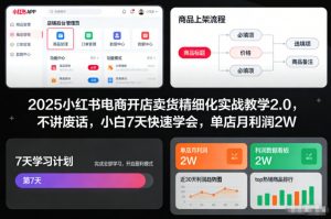 2025小红书电商开店卖货精细化实战教学2.0，不讲废话，小白7天快速学会，单店月利润2W-琴书聊项目